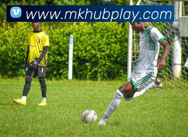 MK体育服务体系